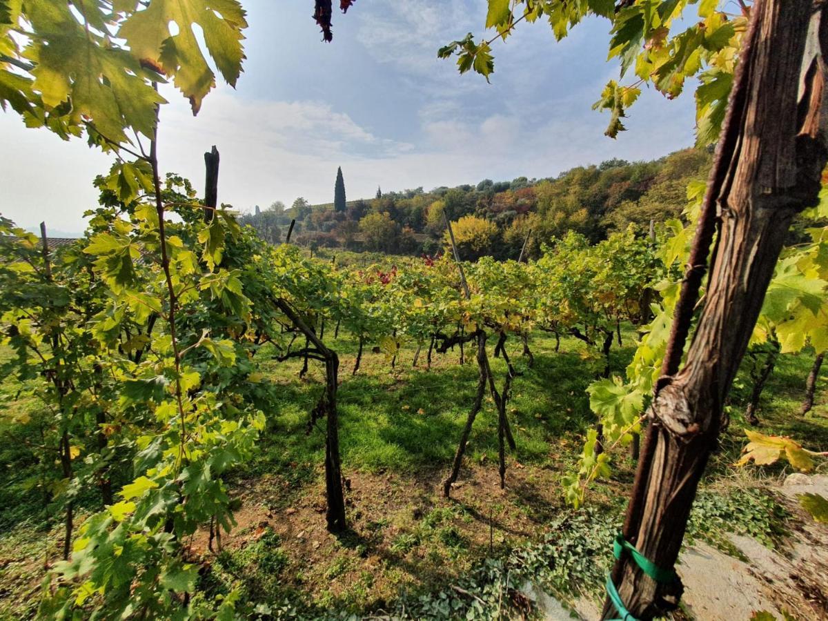 L'Antico Granaio Appartement Negrar Buitenkant foto
