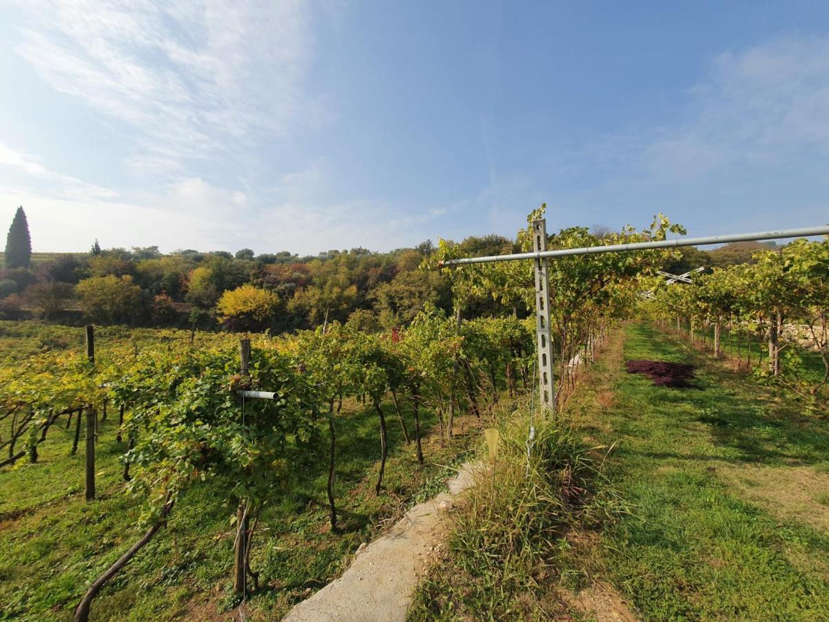 L'Antico Granaio Appartement Negrar Buitenkant foto