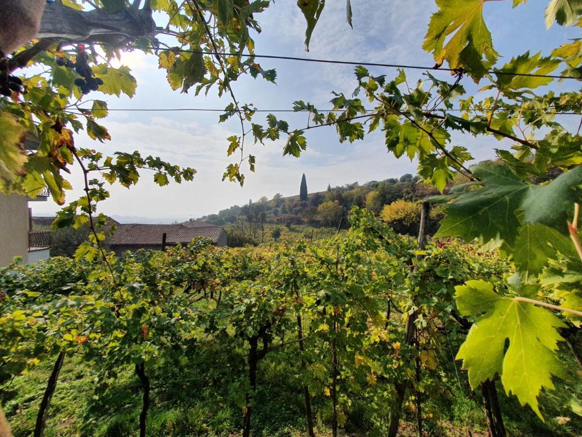 L'Antico Granaio Appartement Negrar Buitenkant foto